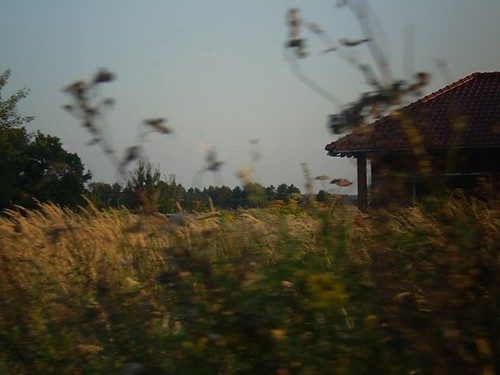 w kolorze czarnym