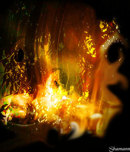 In my dream...