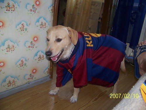 Barca