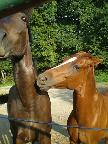 Makabra & Monet 2