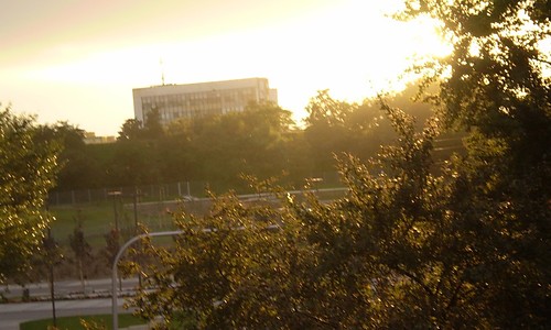Little cage