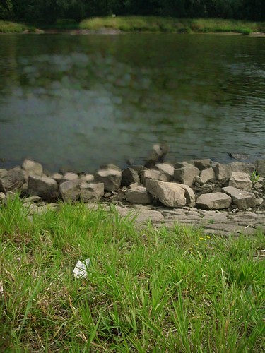 Odra