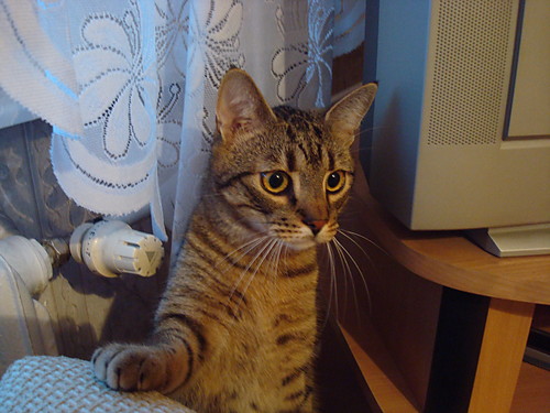 Luksor :)