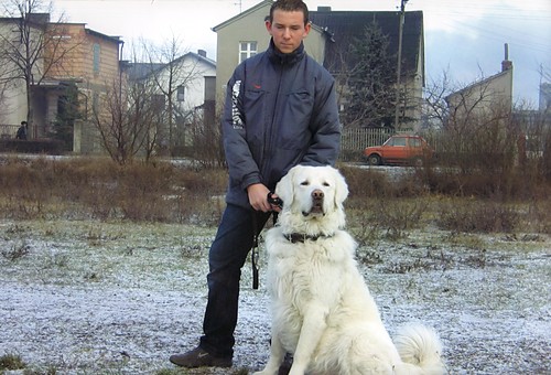 Ja i Dunajek