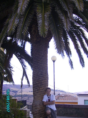 Palma