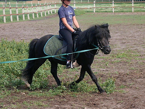 KoNiEc ! 