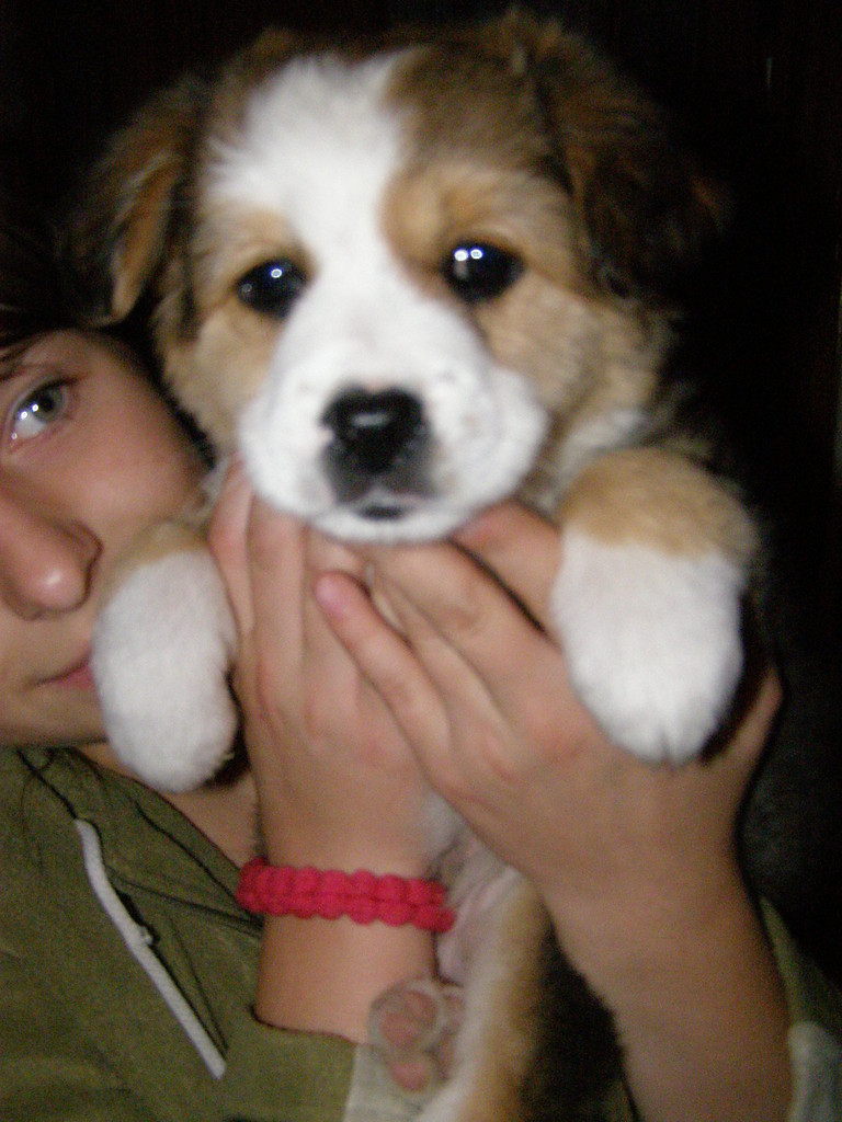 Maxio ;)