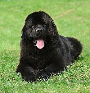 ;D