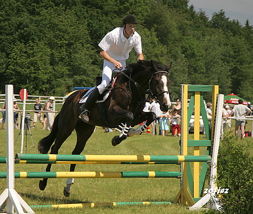 NIEKONICE 2007