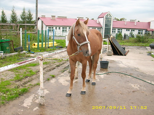 Skonczy sie urlop:(