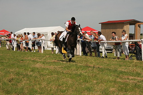 WYSCIG W NIEKONICACH