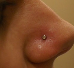 Standart nostril