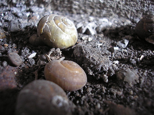 limakw spoczywanie.