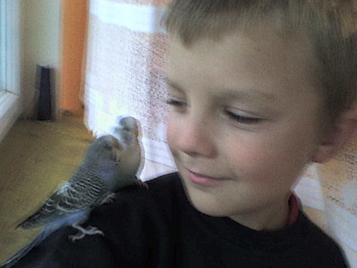 Moje...