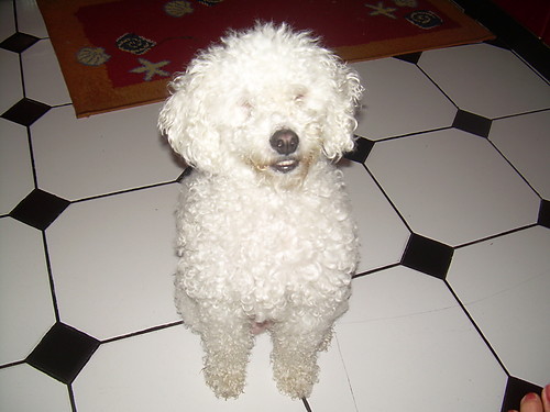 misia