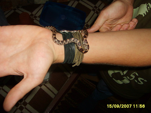 To mj brat ze zbowk