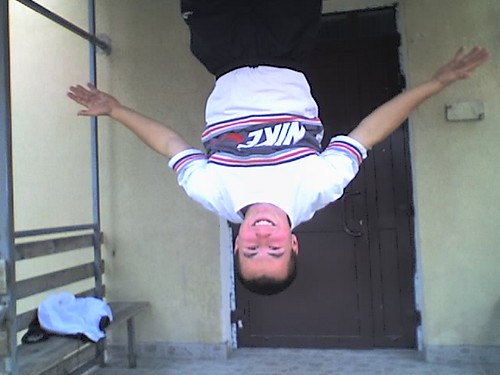 Spider