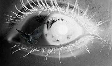 hoPe is a wakiNg dream....  