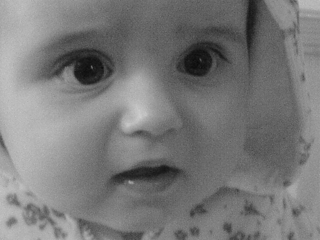 Focia ;P