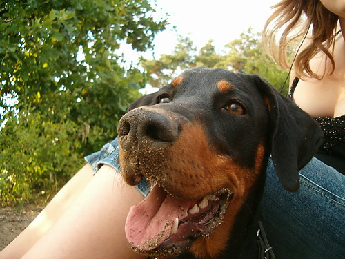 Lily:)