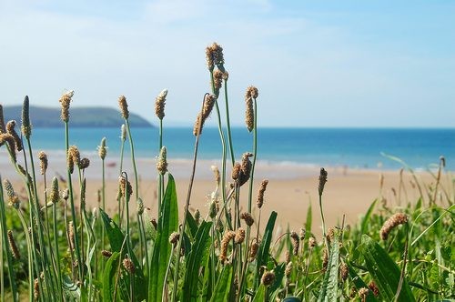 Woolacombe