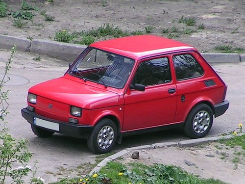 Maluch