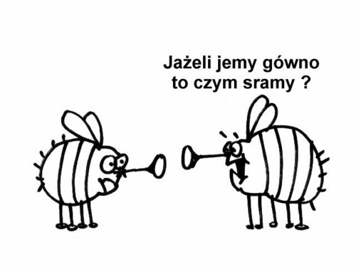  Oto  jest pytanie!!!