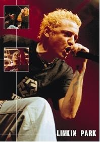 LiNkIn PaRk
