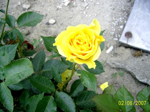 For You