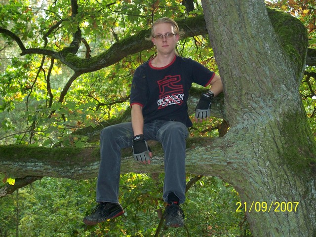 Up a tree;)