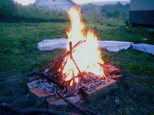 OgNiCho :D