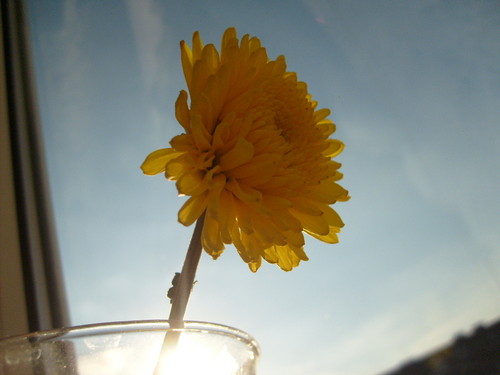 Sunny