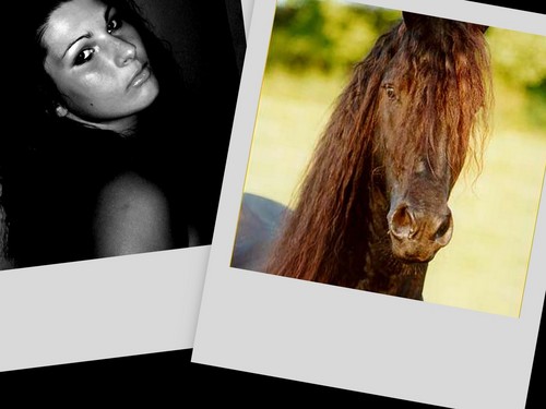 konik  :*****