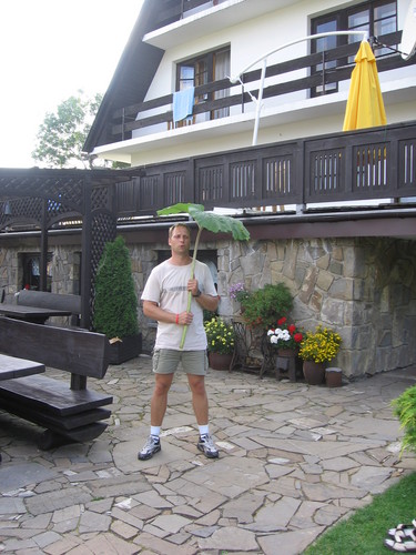 Bukowina T.`2007