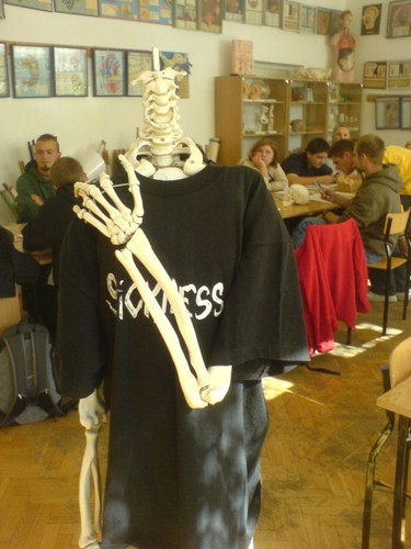 Kosteeeeeeeeeeeeeeeeeeeeeeeek xD