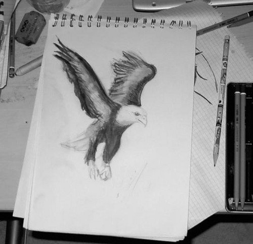 _Aguila_ 