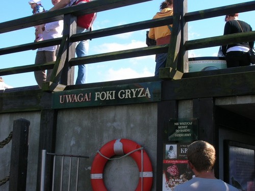foto z fokarium na Helu