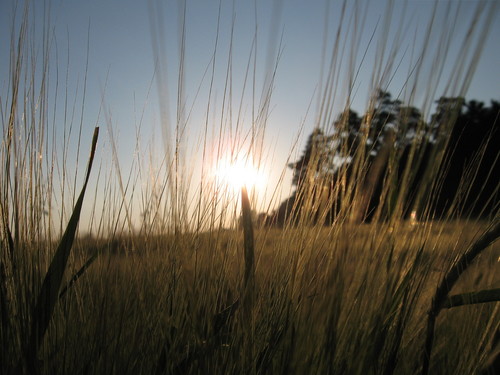 ... time only is time ... 