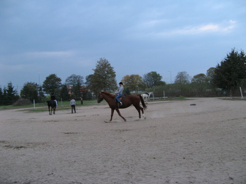 Galop
