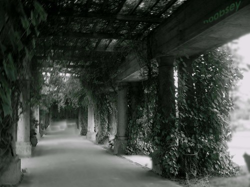 the way to nowhere