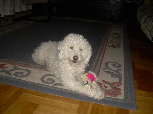 MISIA
