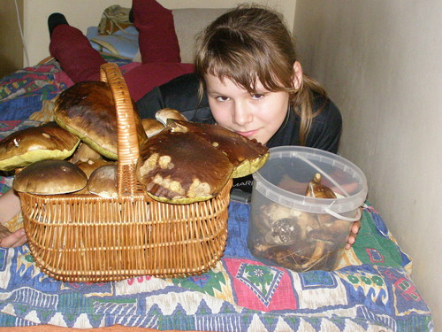 Udane Grzybobranie