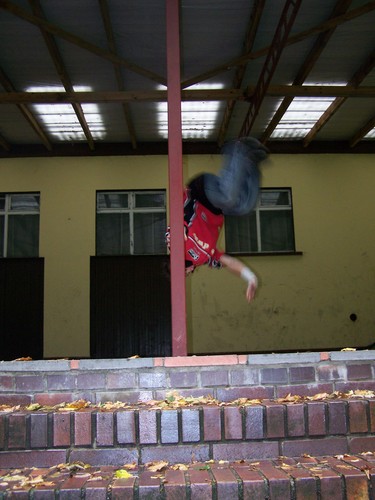 Palm Spin Vertical