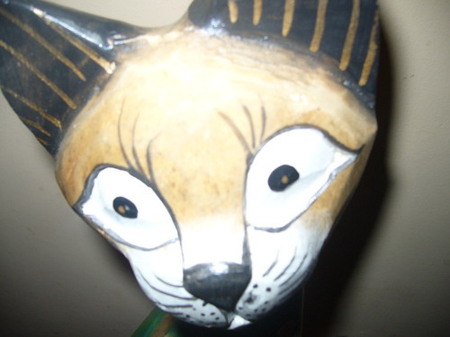 Kotek.