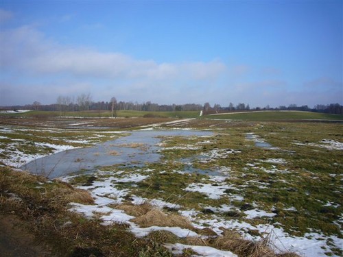 wyCIECZKA