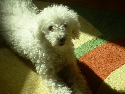 misia
