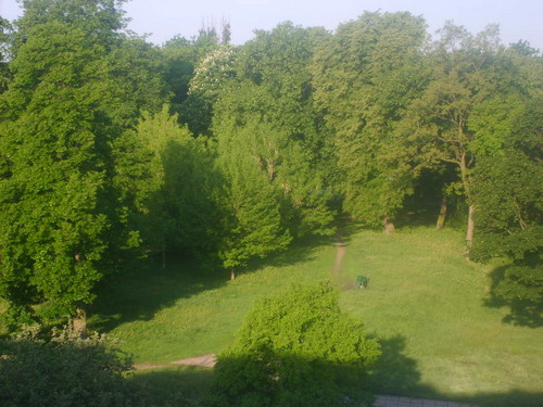 Widok 