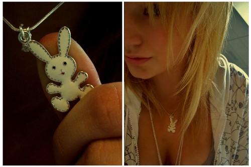 Funny bunny