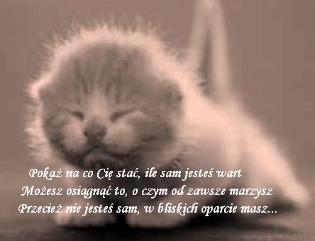 Poka na co Ci sta...