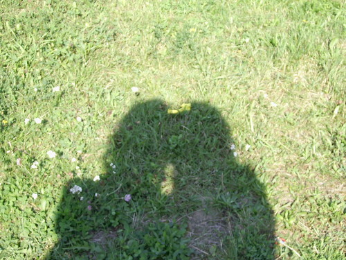cie